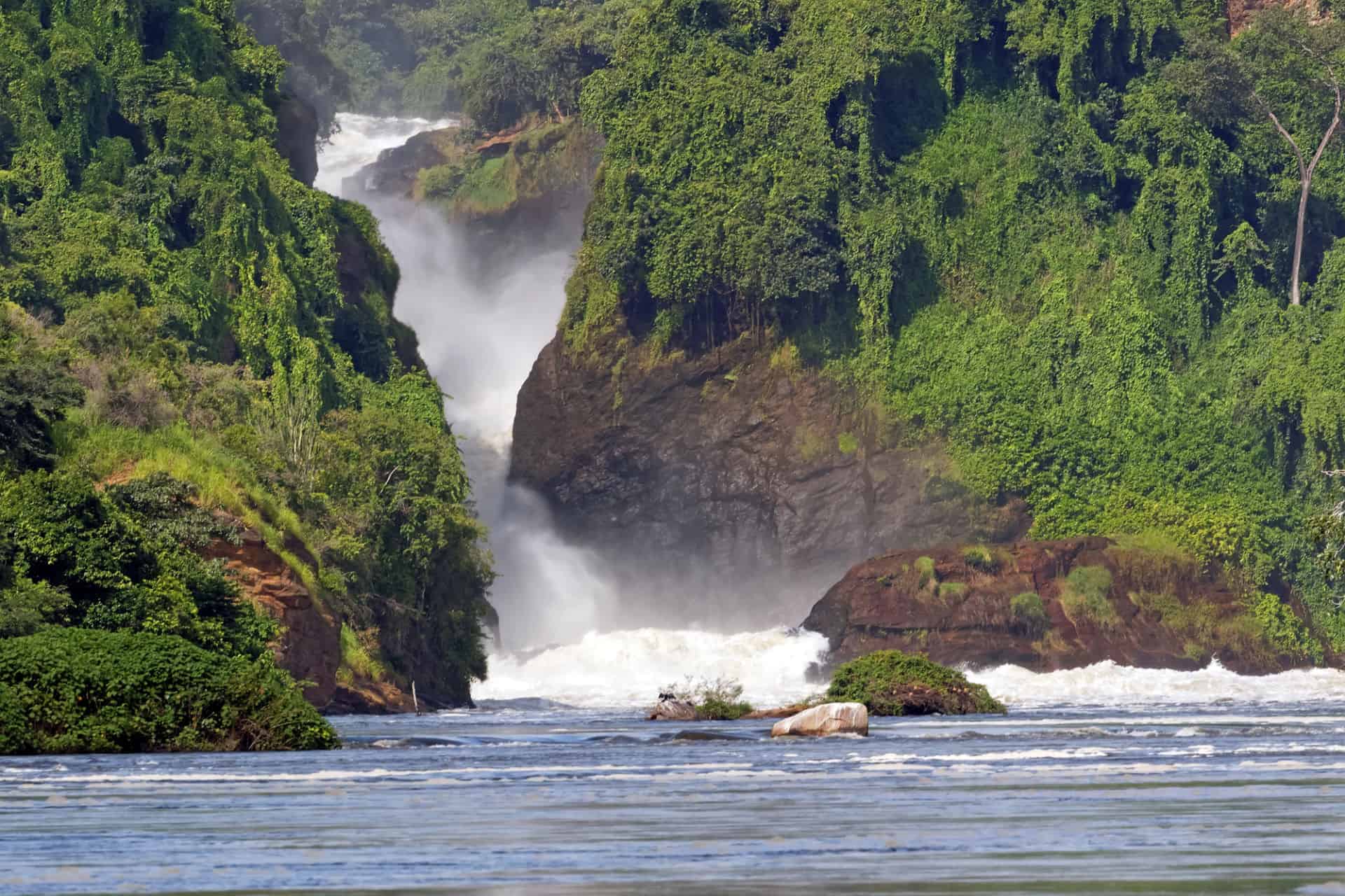 Murchison Falls National Park Safari